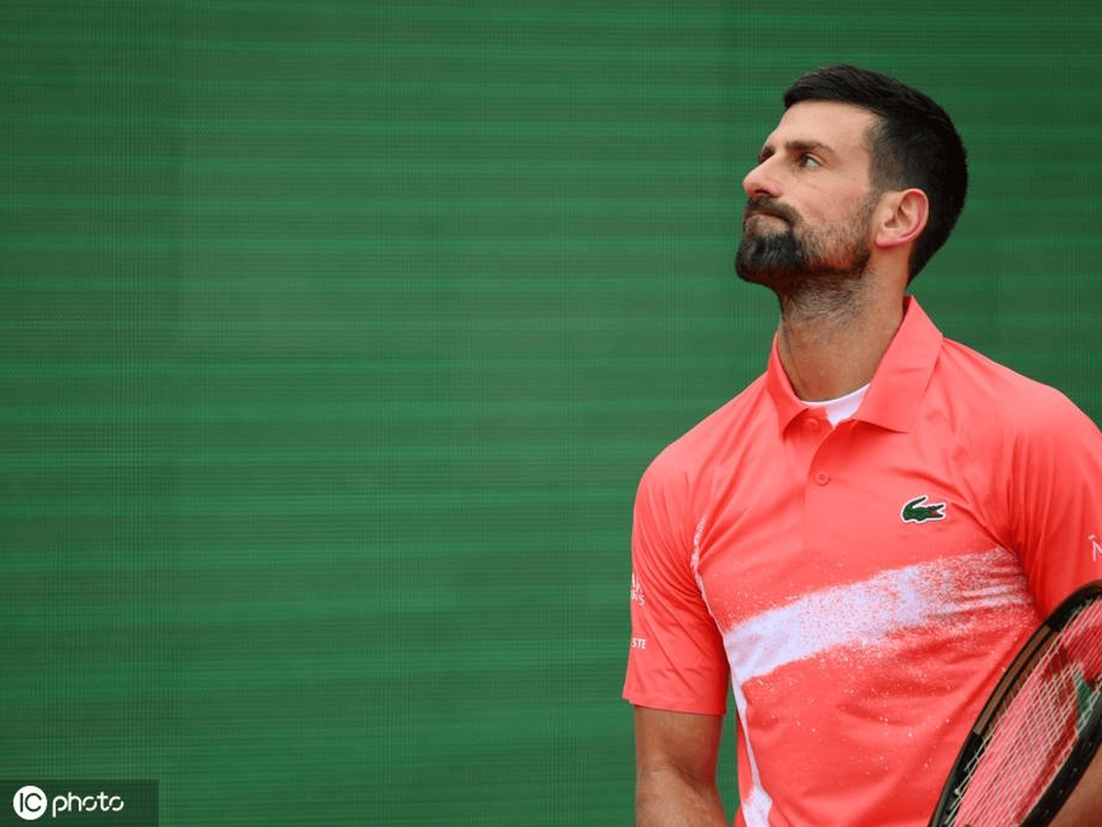  德约科维奇遭遇三连败，公牛教练面临压力！